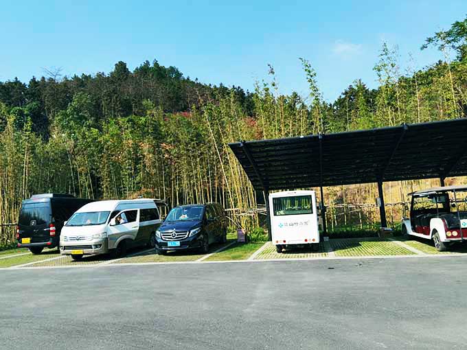 竹林旁的道路与车辆停靠区域