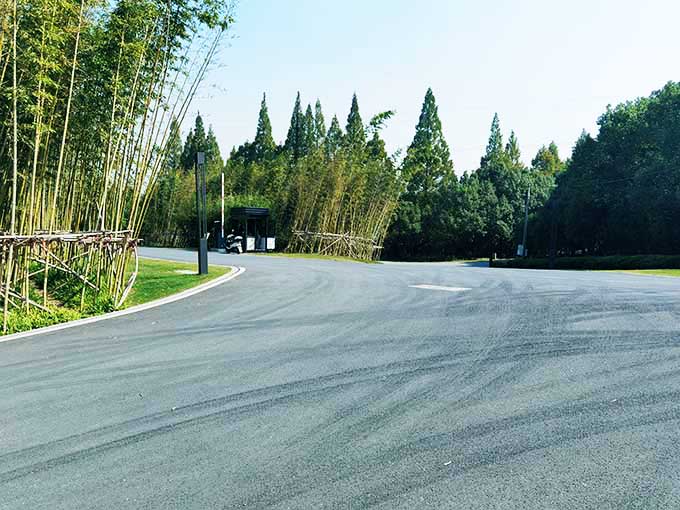 竹林边的弯曲道路与远处树木